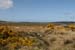 20090430_keadewstrand