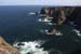 20090430_rinrawrosbay03