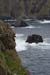 20090430_rinrawrosbay20