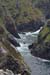 20090430_rinrawrosbay21