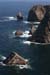 20090430_rinrawrosbay27