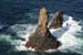 20090430_rinrawrosbay28