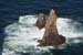 20090430_rinrawrosbay29