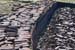 20090430_rinrawrosbogs01