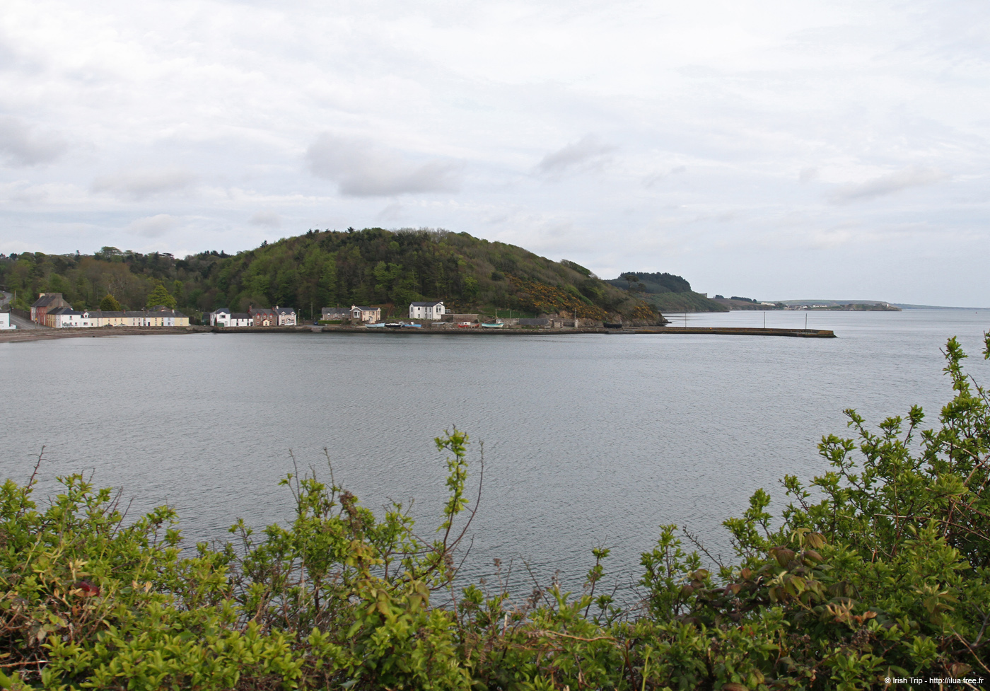 20120504_arthurstownbay
