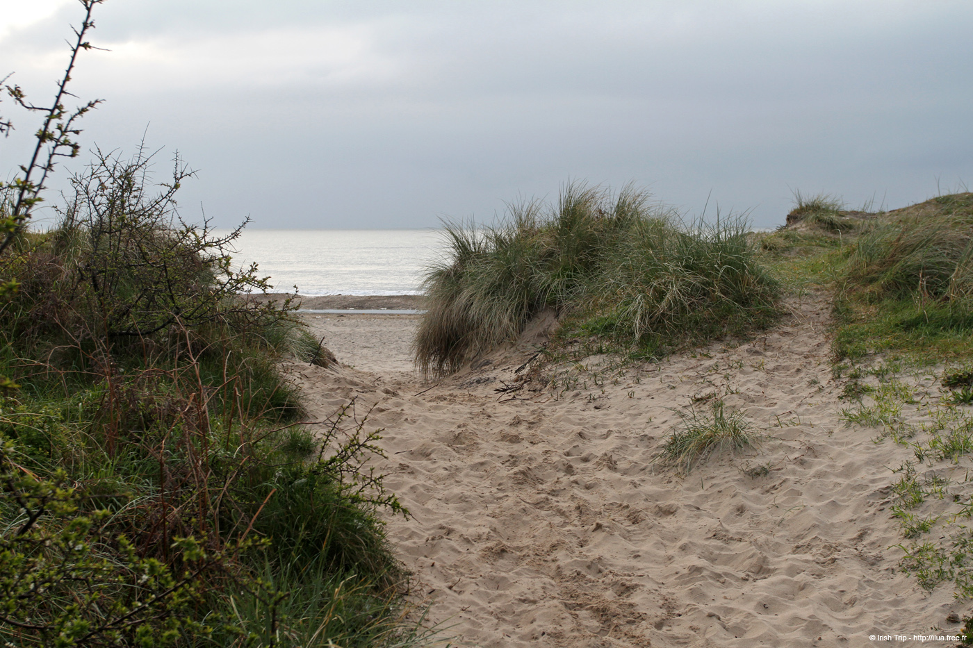 20120504_brittasbay01