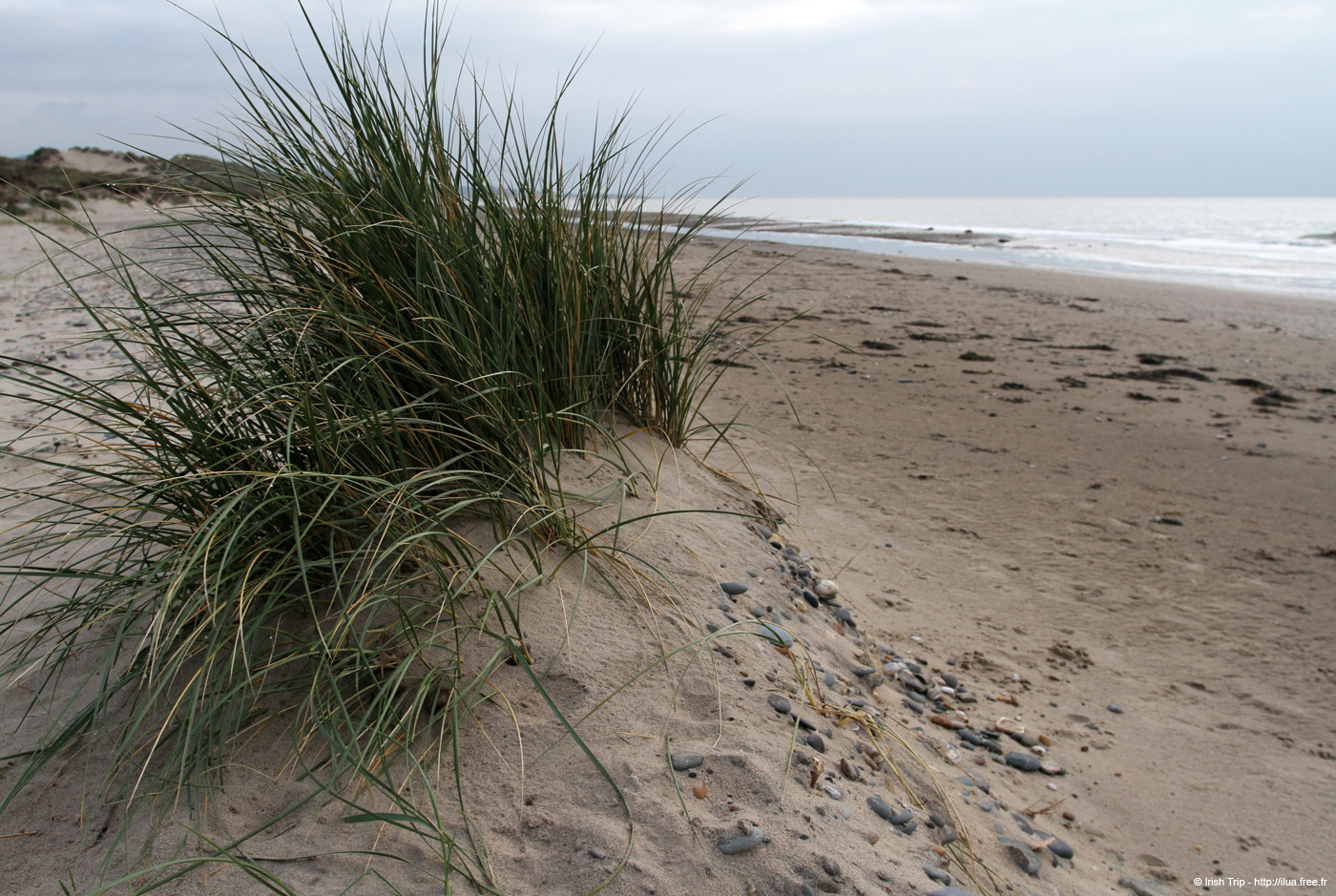 20120504_brittasbay03