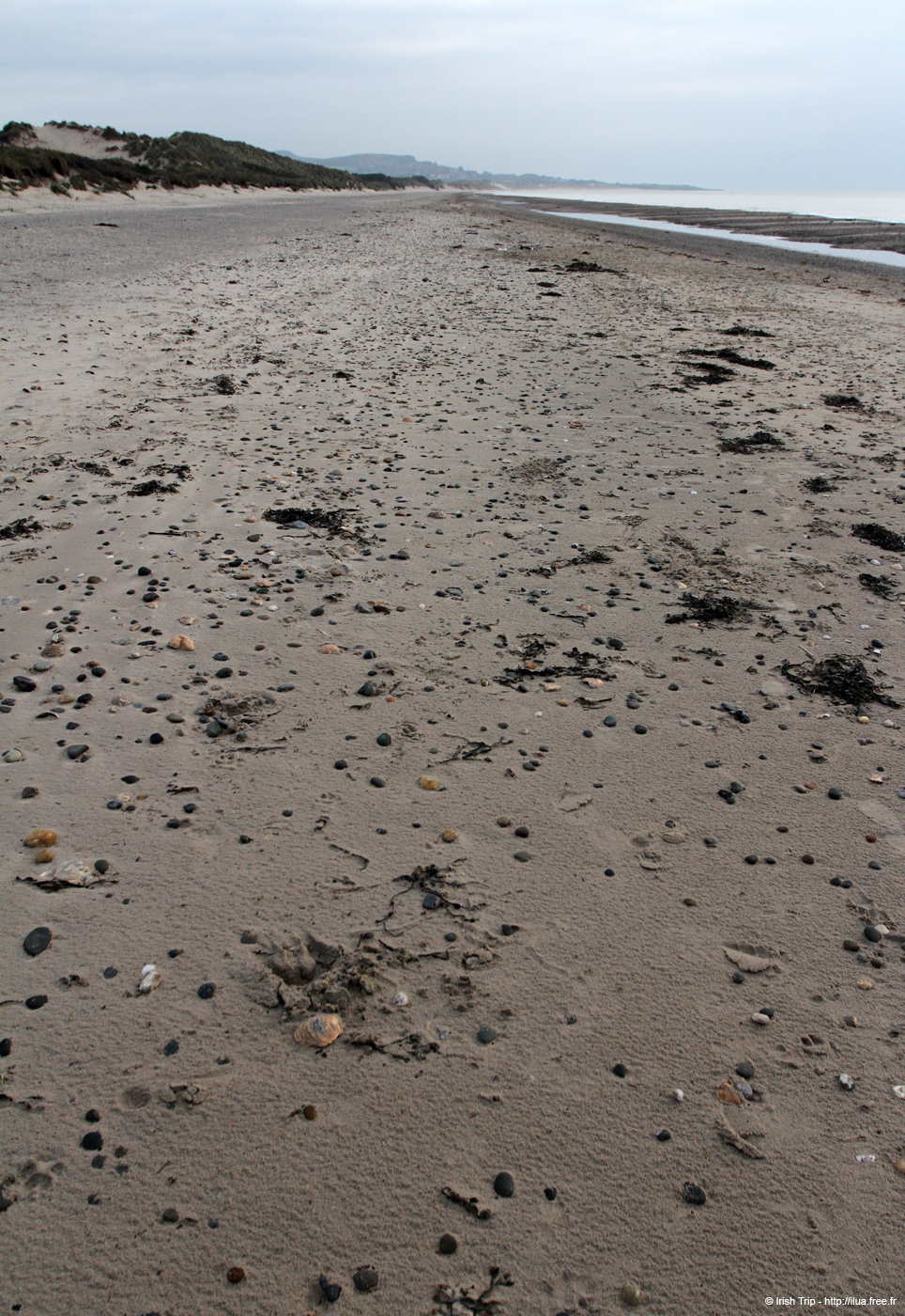 20120504_brittasbay06