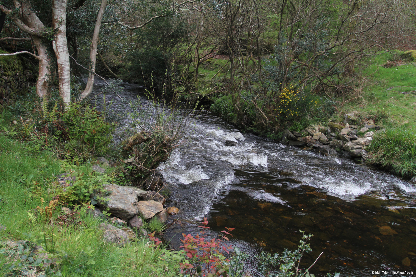20120504_glendalough_glenealoriver1