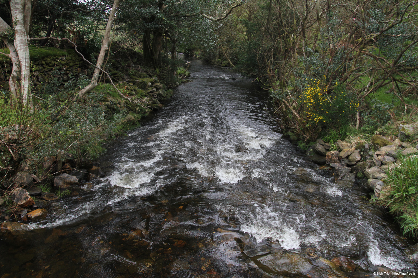 20120504_glendalough_glenealoriver2