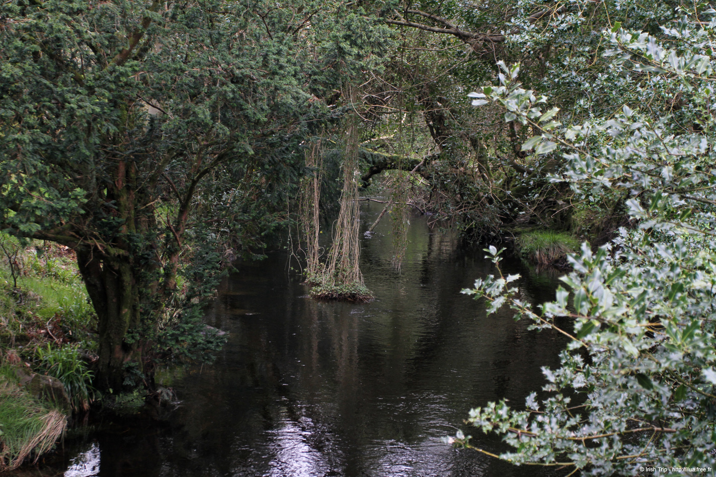 20120504_glendalough_glenealoriver3