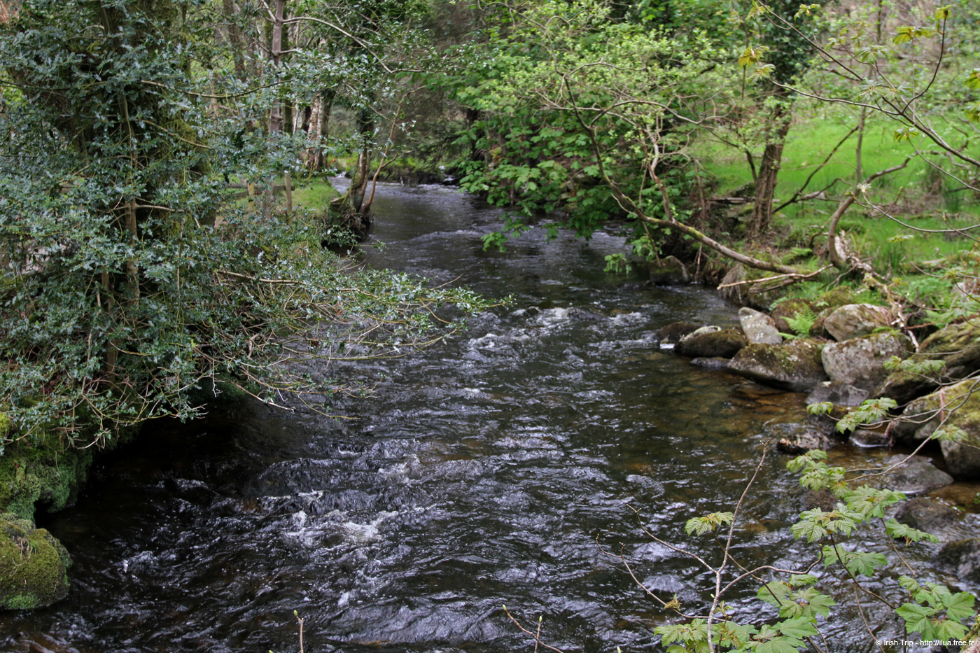 20120504_glendalough_glenealoriver4