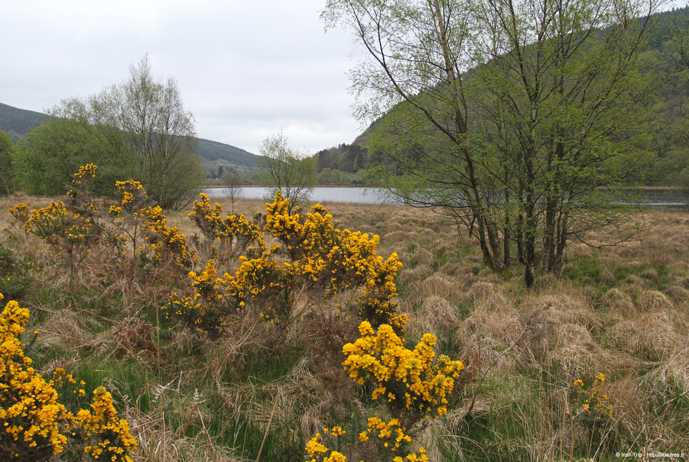 20120504_glendalough_lowerlake1