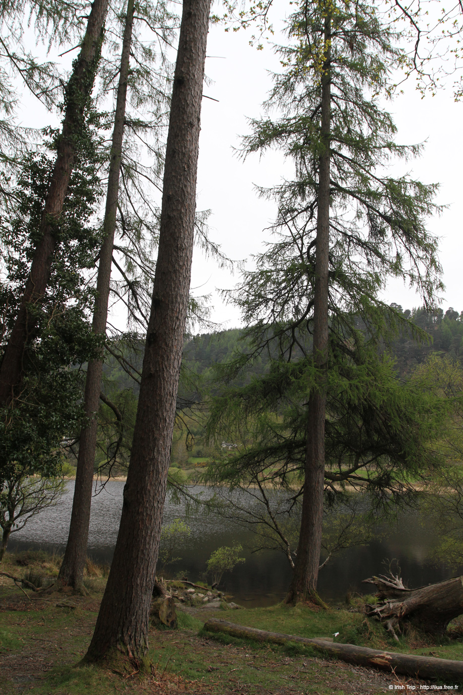 20120504_glendalough_lowerlake2