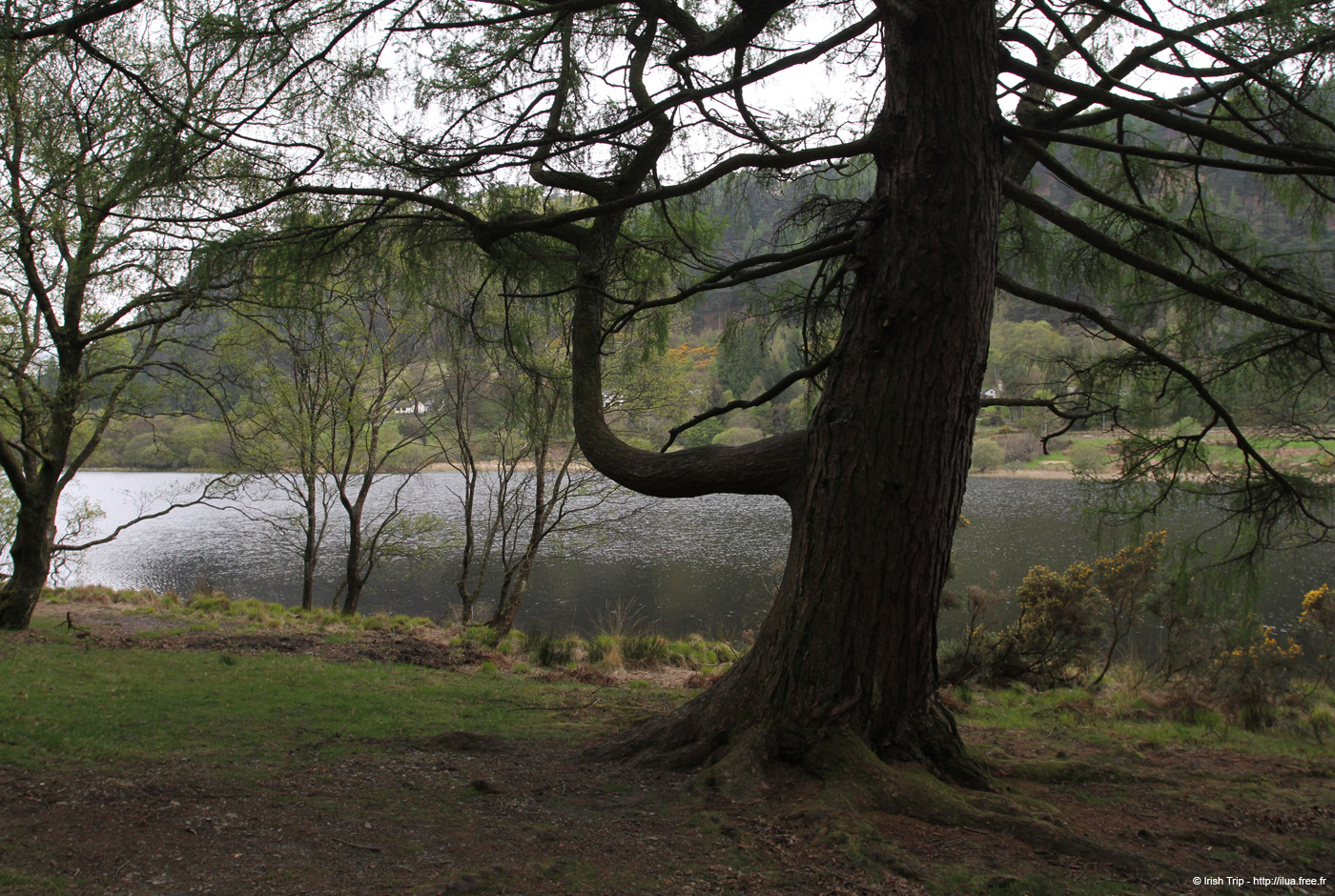 20120504_glendalough_lowerlake3