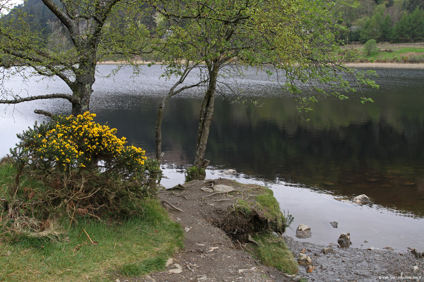 20120504_glendalough_lowerlake4