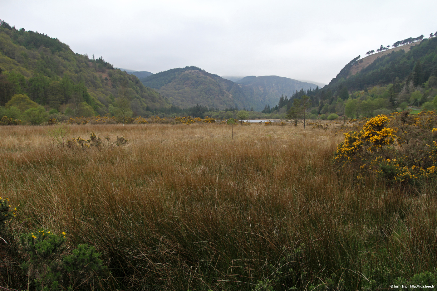 20120504_glendalough_lowerlakevalley21