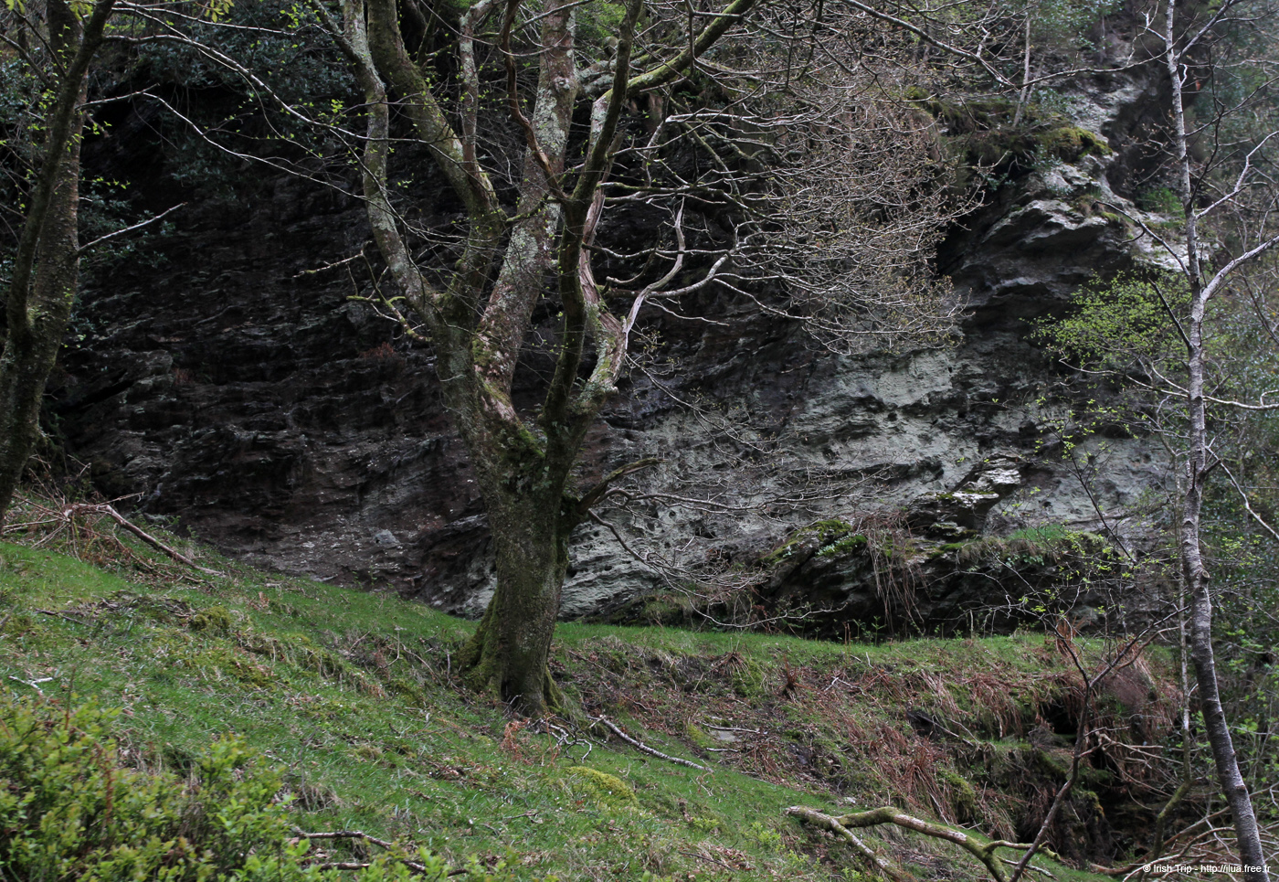 20120504_glendalough_park04