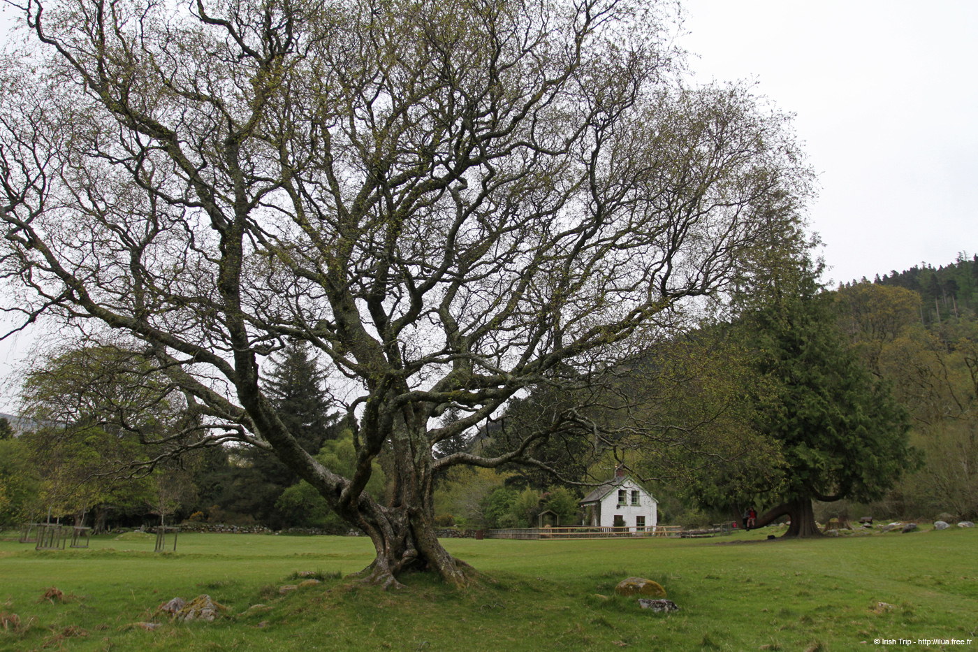 20120504_glendalough_park06