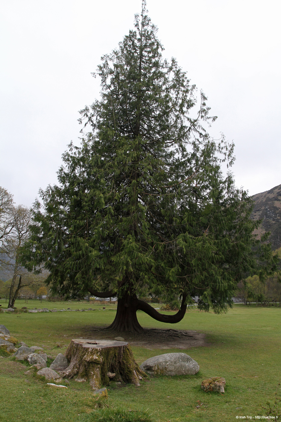20120504_glendalough_park07