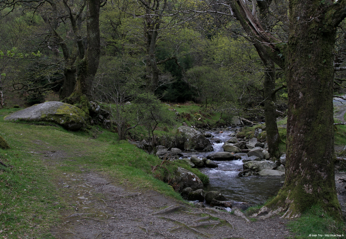 20120504_glendalough_poulanassriver