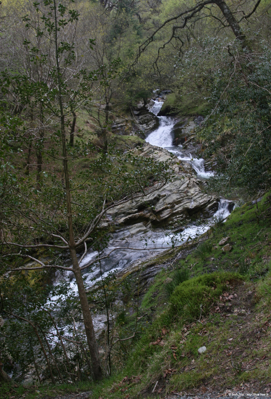 20120504_glendalough_poulanasswaterfall1