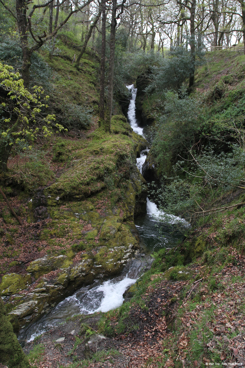 20120504_glendalough_poulanasswaterfall2