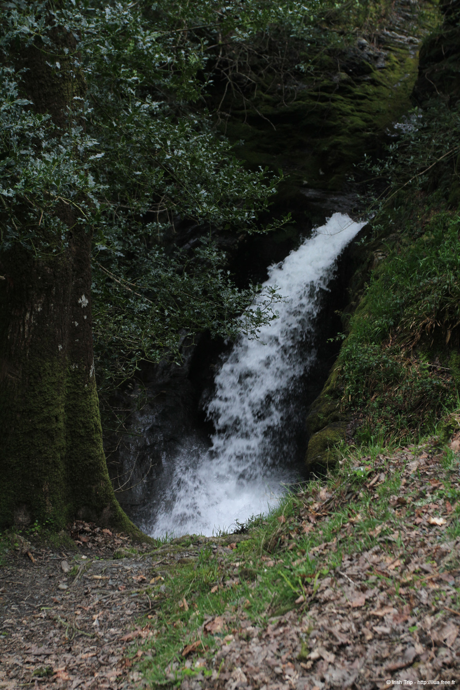 20120504_glendalough_poulanasswaterfall4