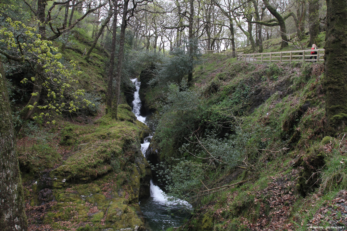20120504_glendalough_poulanasswaterfall5