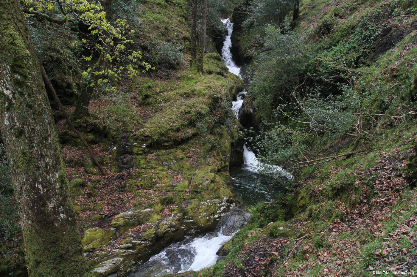 20120504_glendalough_poulanasswaterfall6