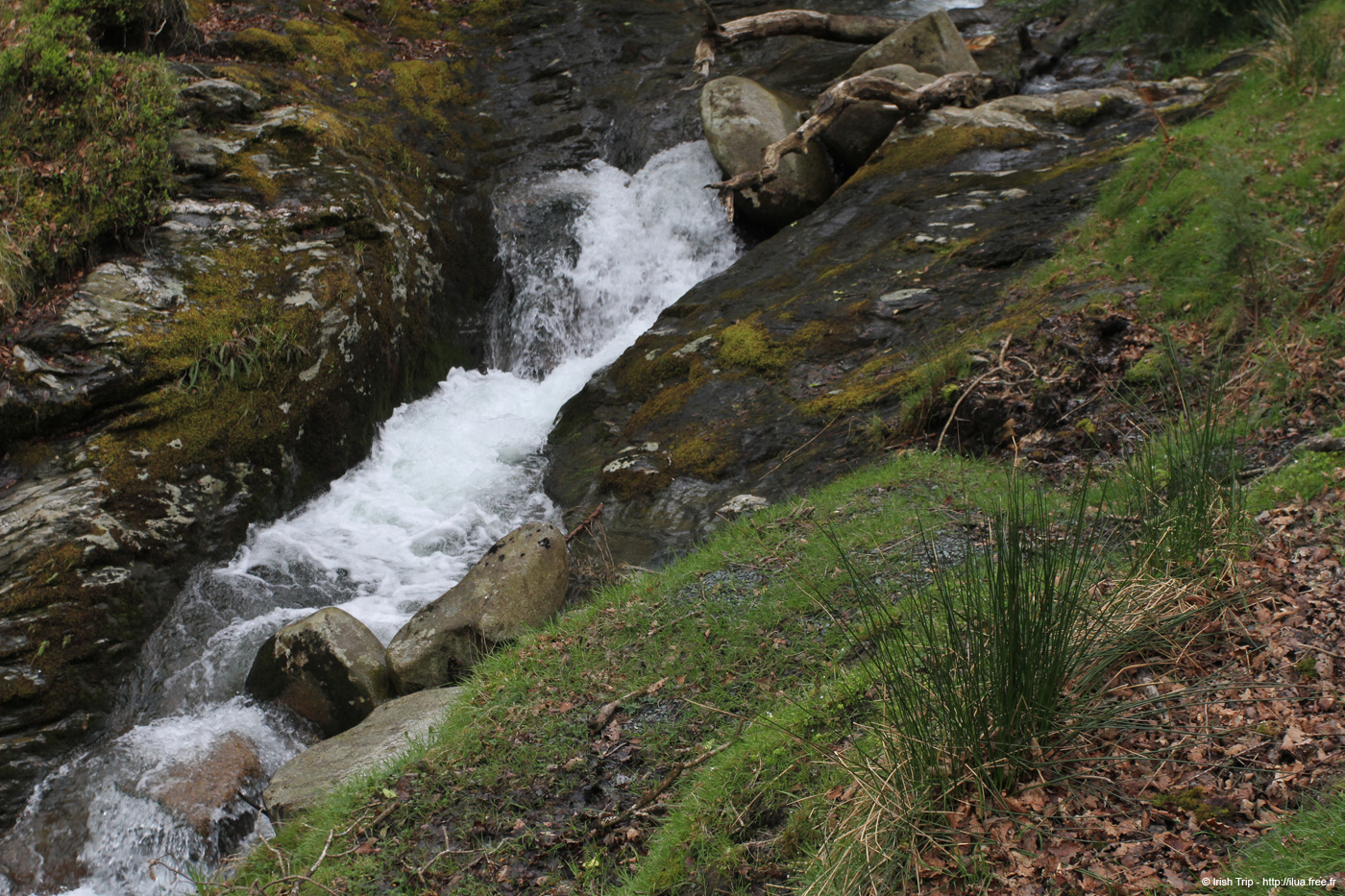 20120504_glendalough_poulanasswaterfall8