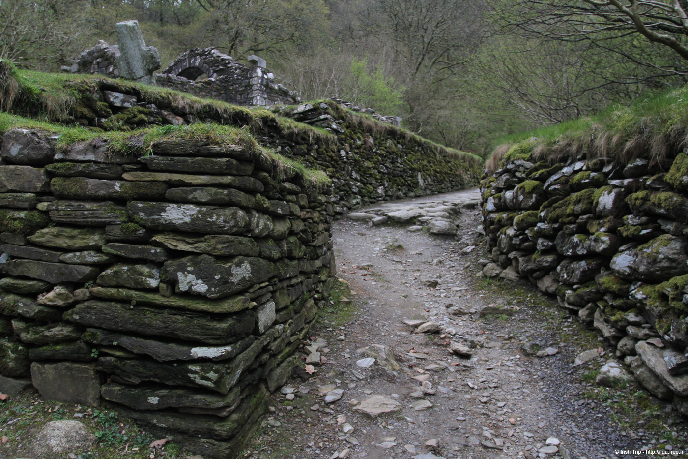 20120504_glendalough_reefertchurch01