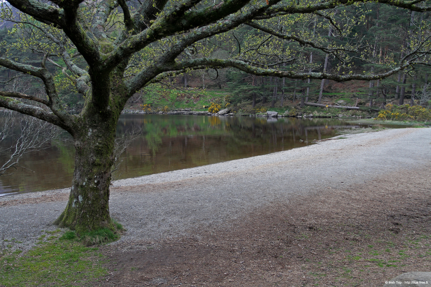 20120504_glendalough_upperlake7