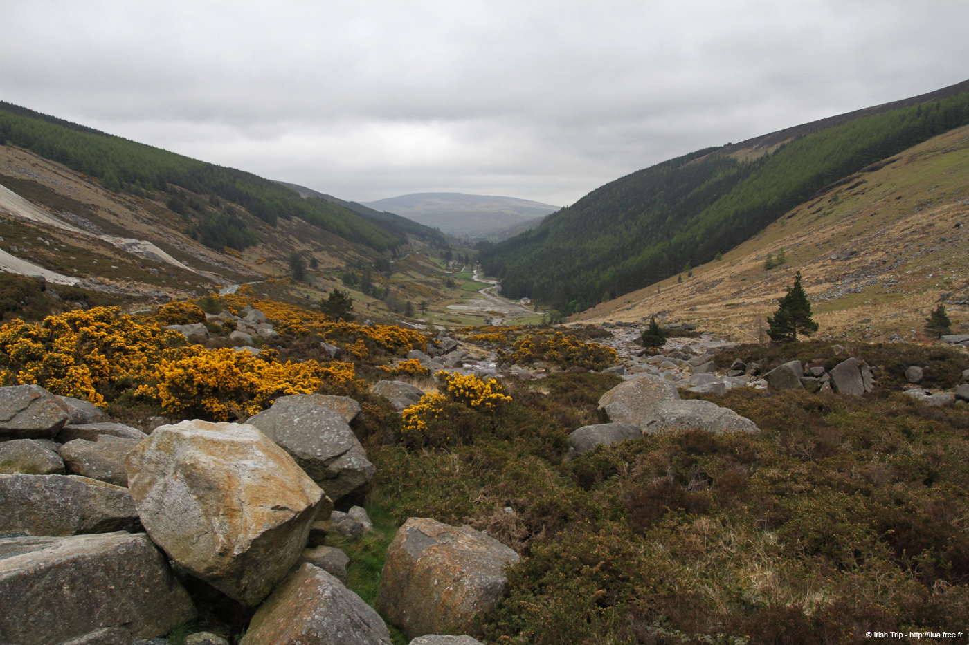 20120504_glendalough_valley1