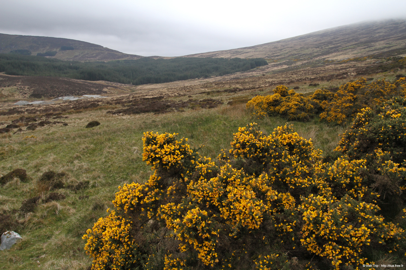 20120504_glendalough_valley2