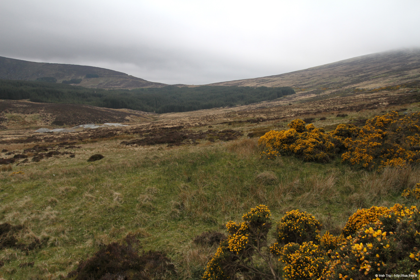 20120504_glendalough_valley3