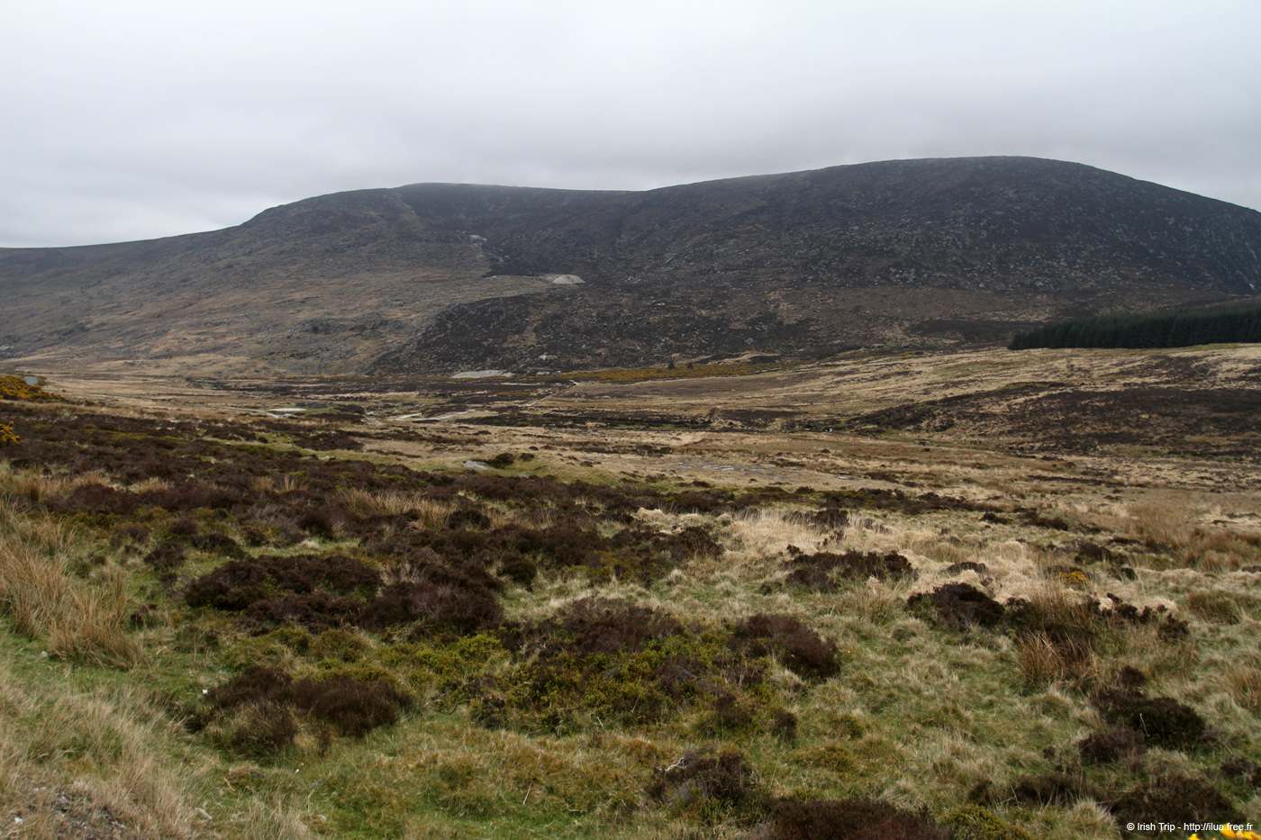 20120504_glendalough_valley4