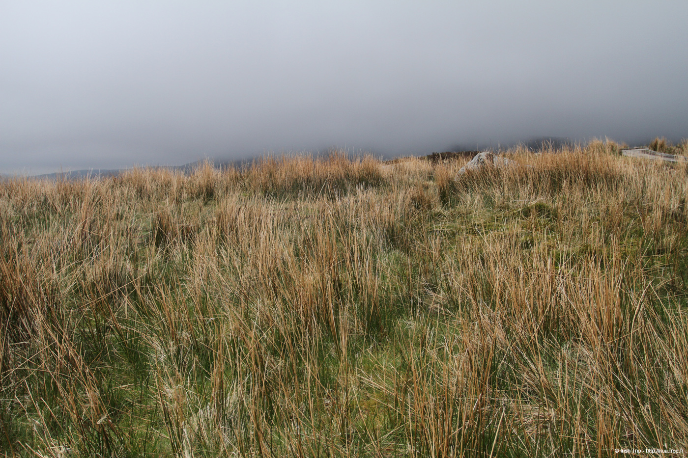 20120504_glendalough_valley5