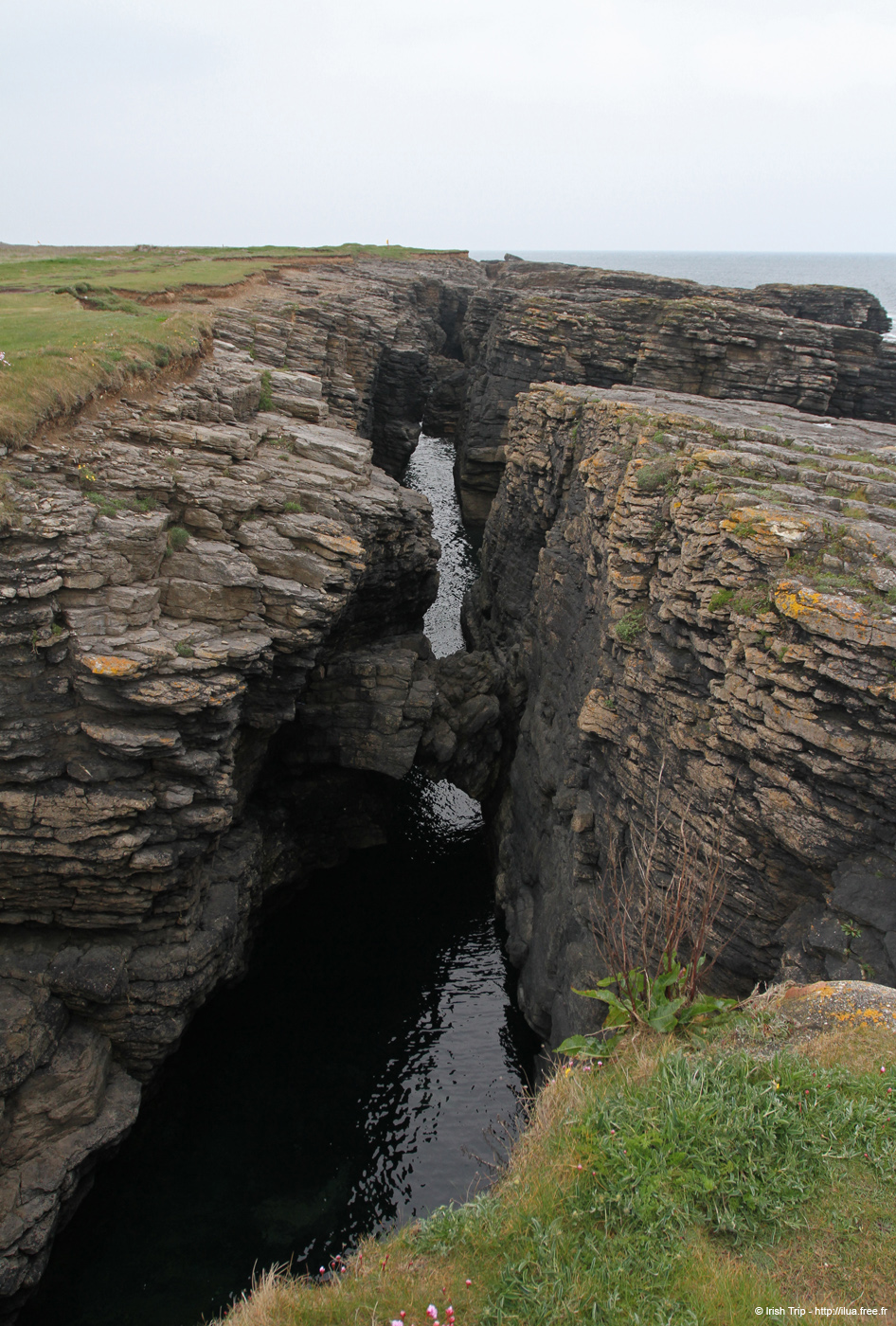20120504_hookheadcoast07