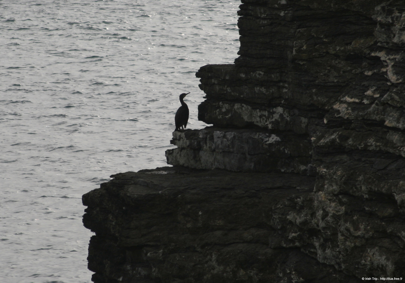 20120504_hookheadcoast17