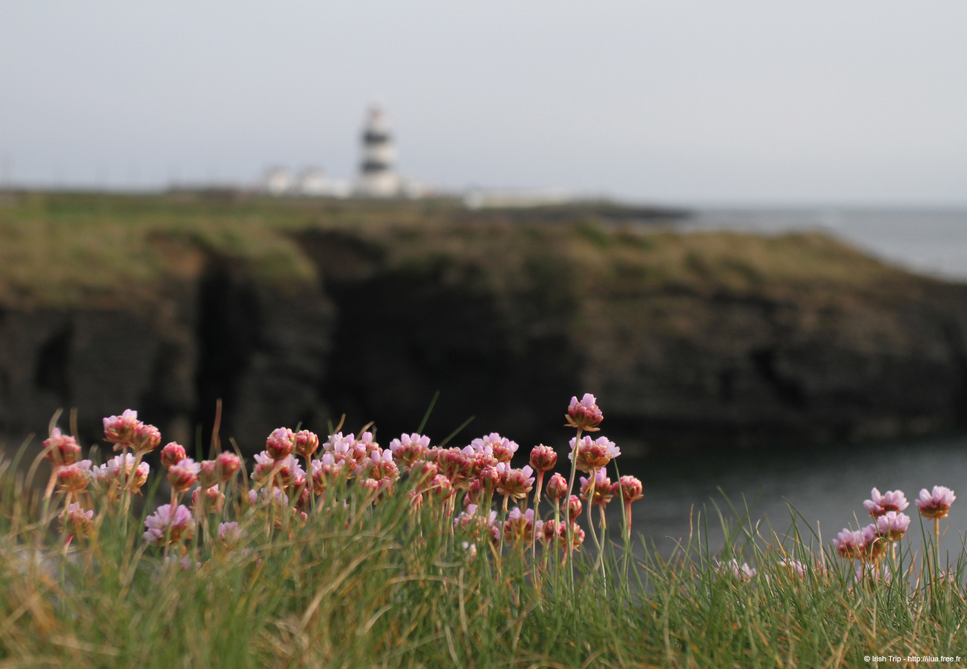 20120504_hookheadlighhouse02