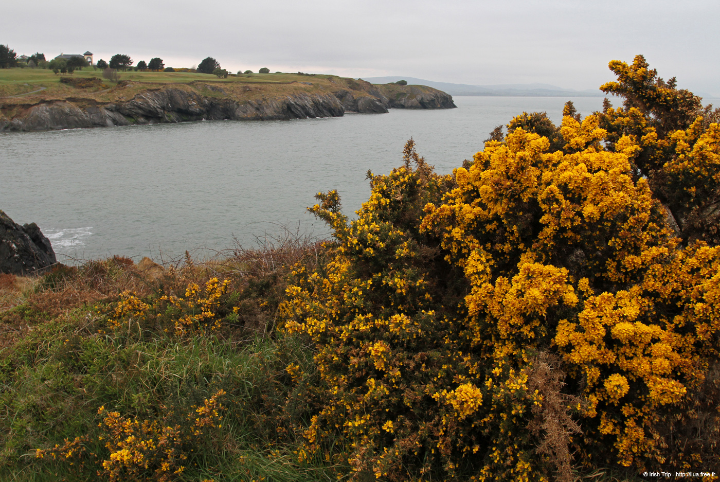 20120504_wicklow_head_coast01