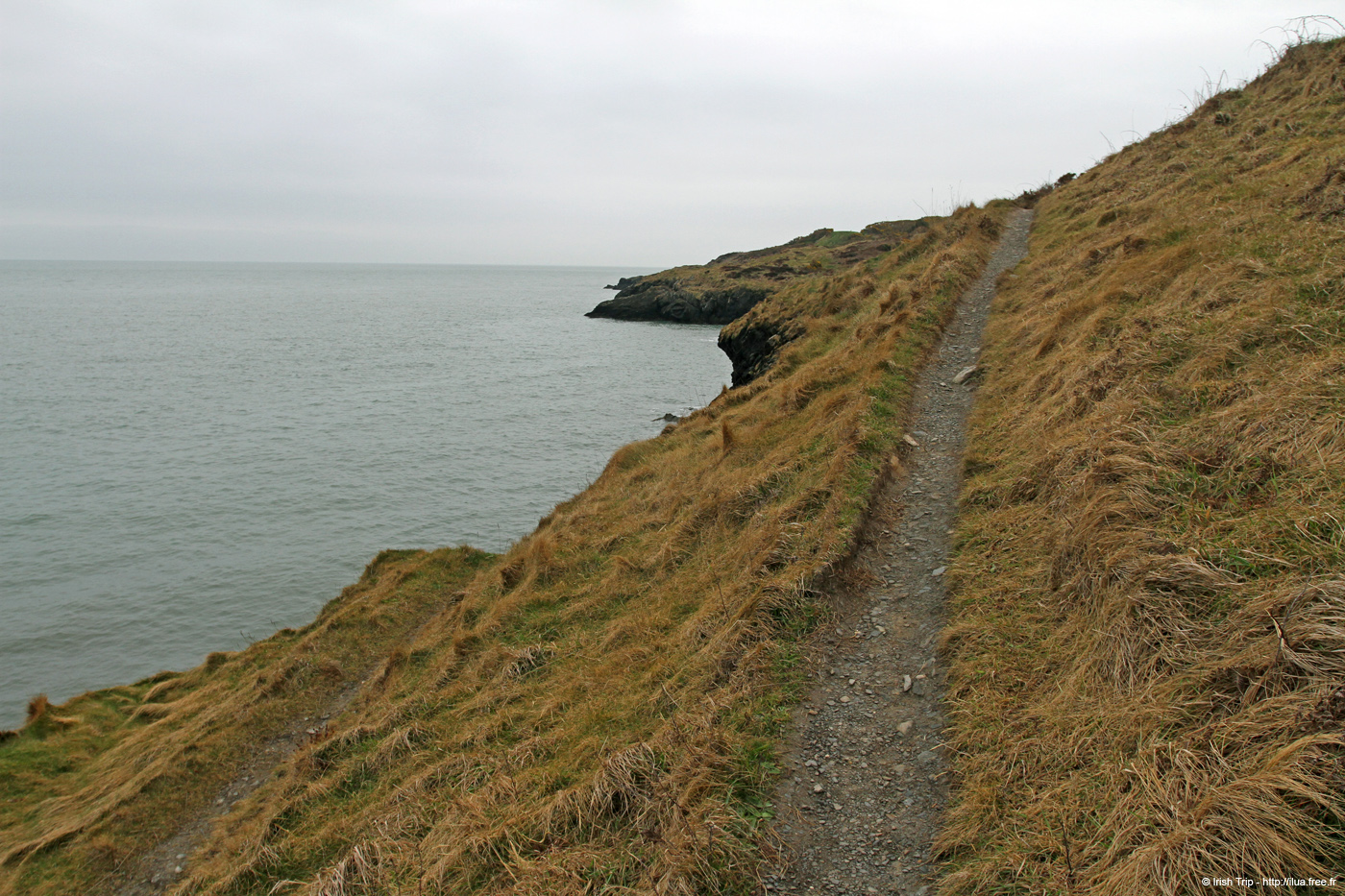 20120504_wicklow_head_coast02