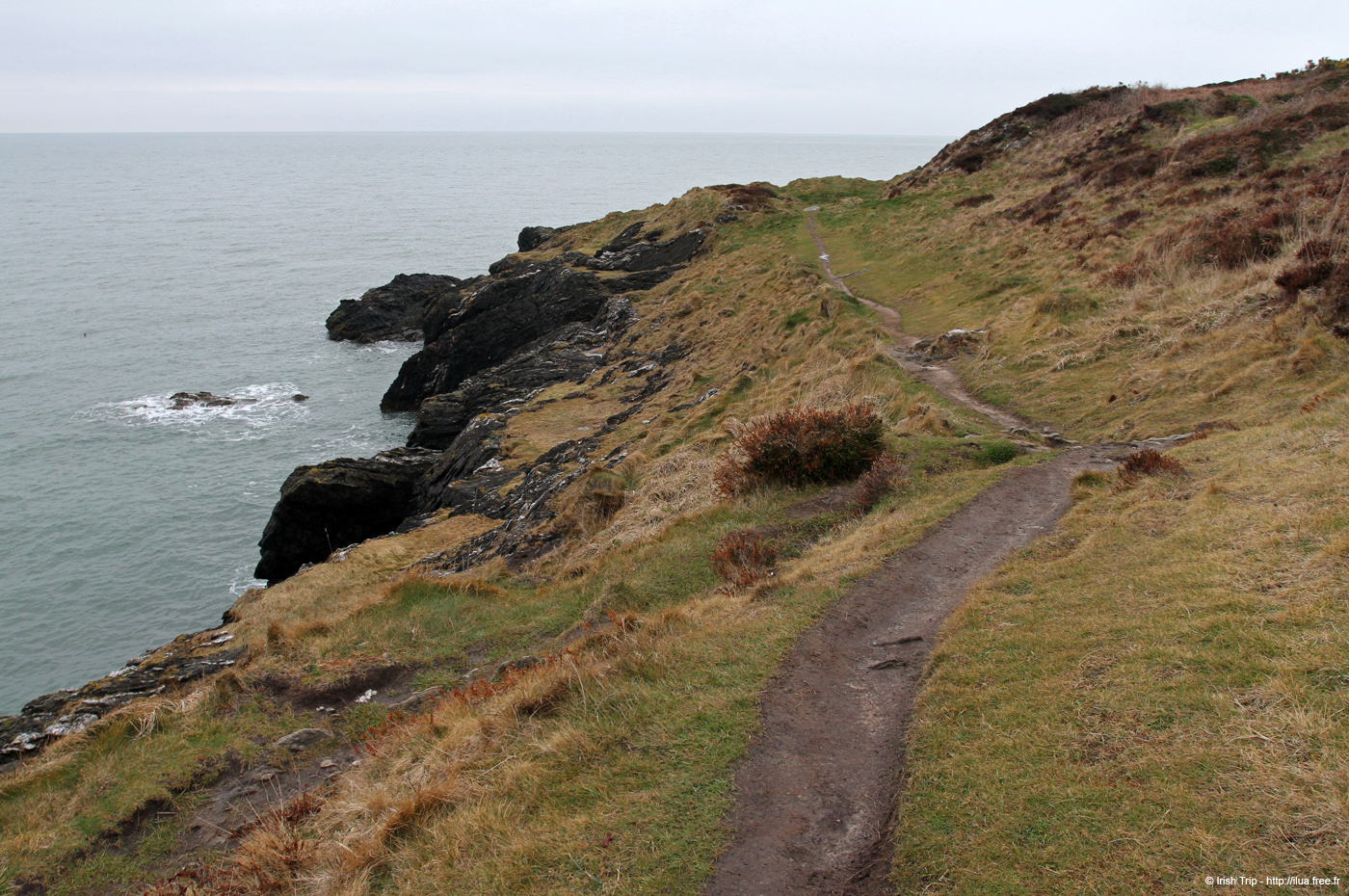 20120504_wicklow_head_coast03
