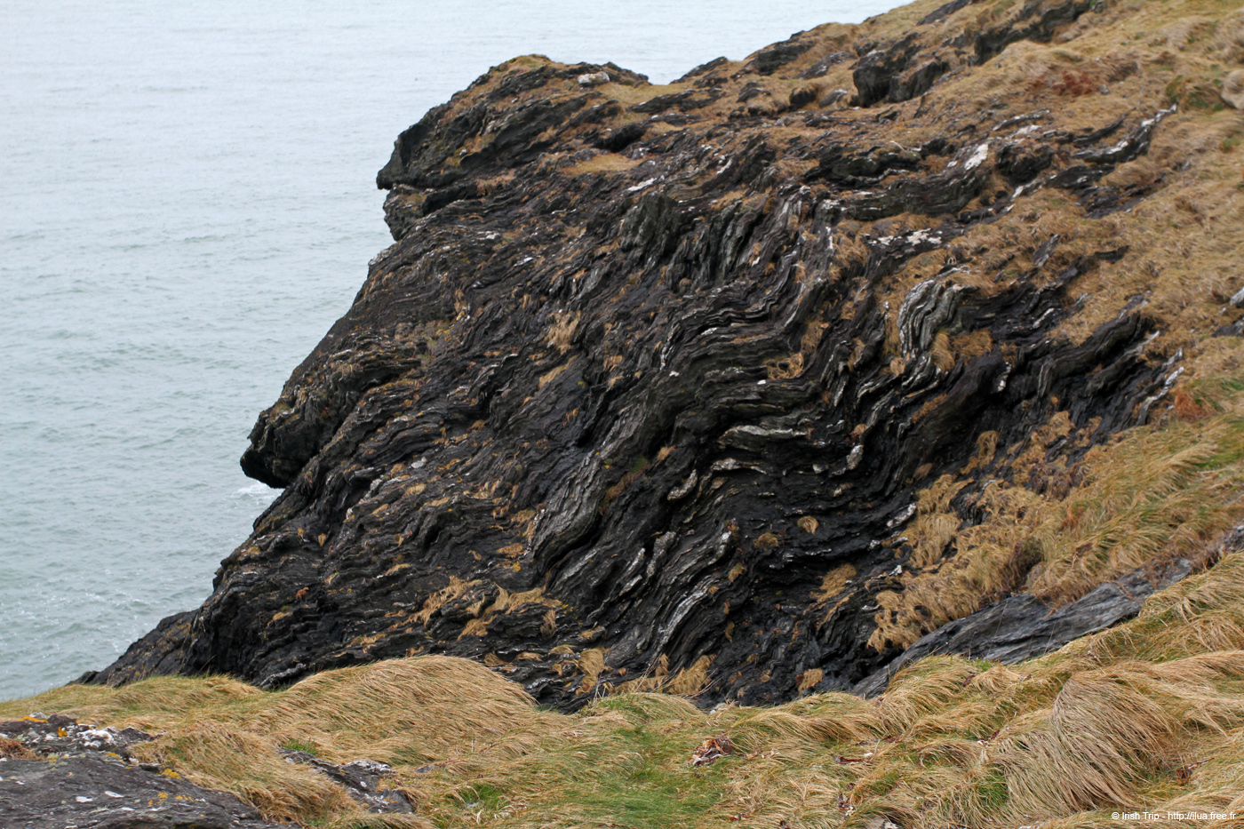 20120504_wicklow_head_coast06