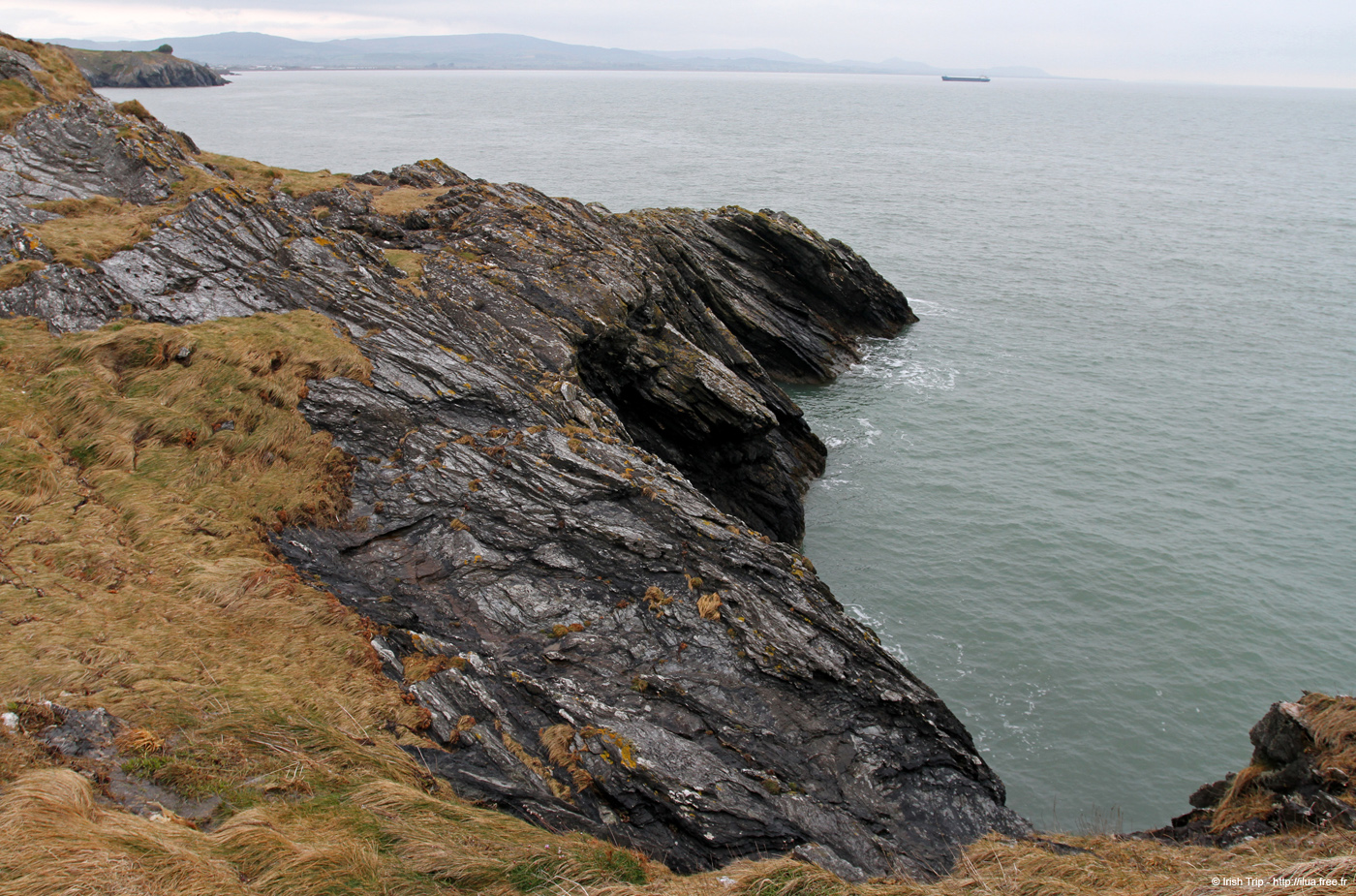 20120504_wicklow_head_coast07