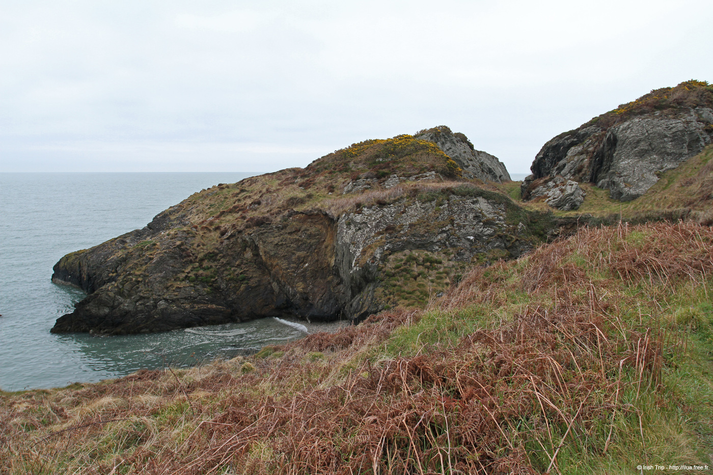 20120504_wicklow_head_coast08