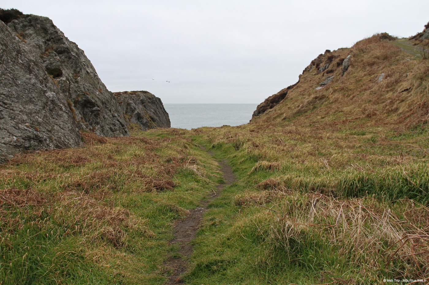 20120504_wicklow_head_coast09