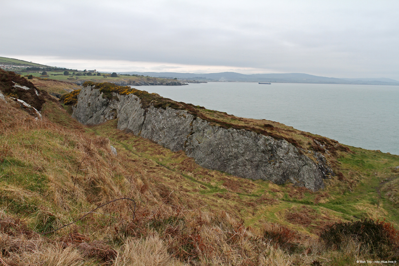 20120504_wicklow_head_coast10