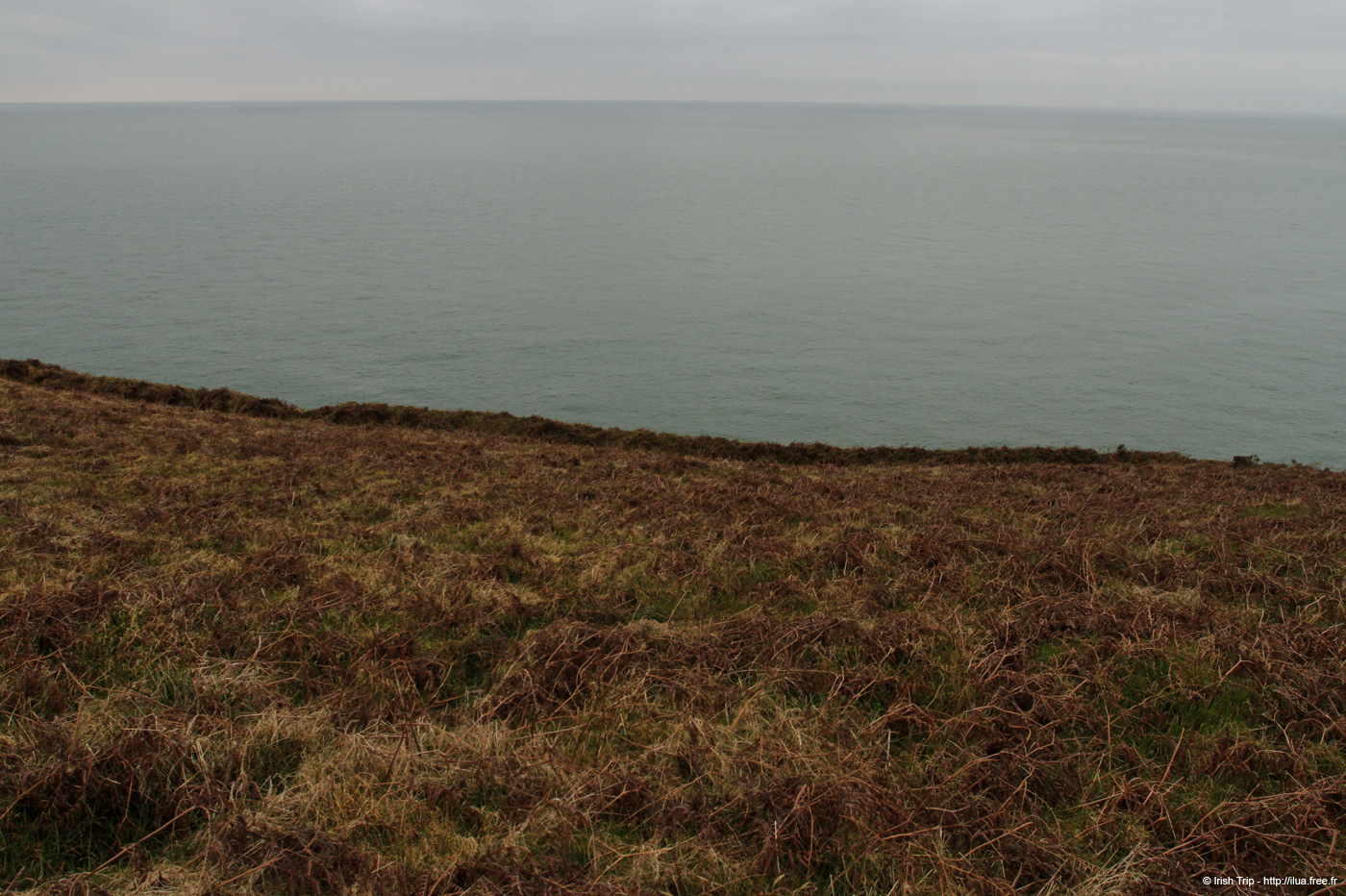 20120504_wicklow_head_coast11